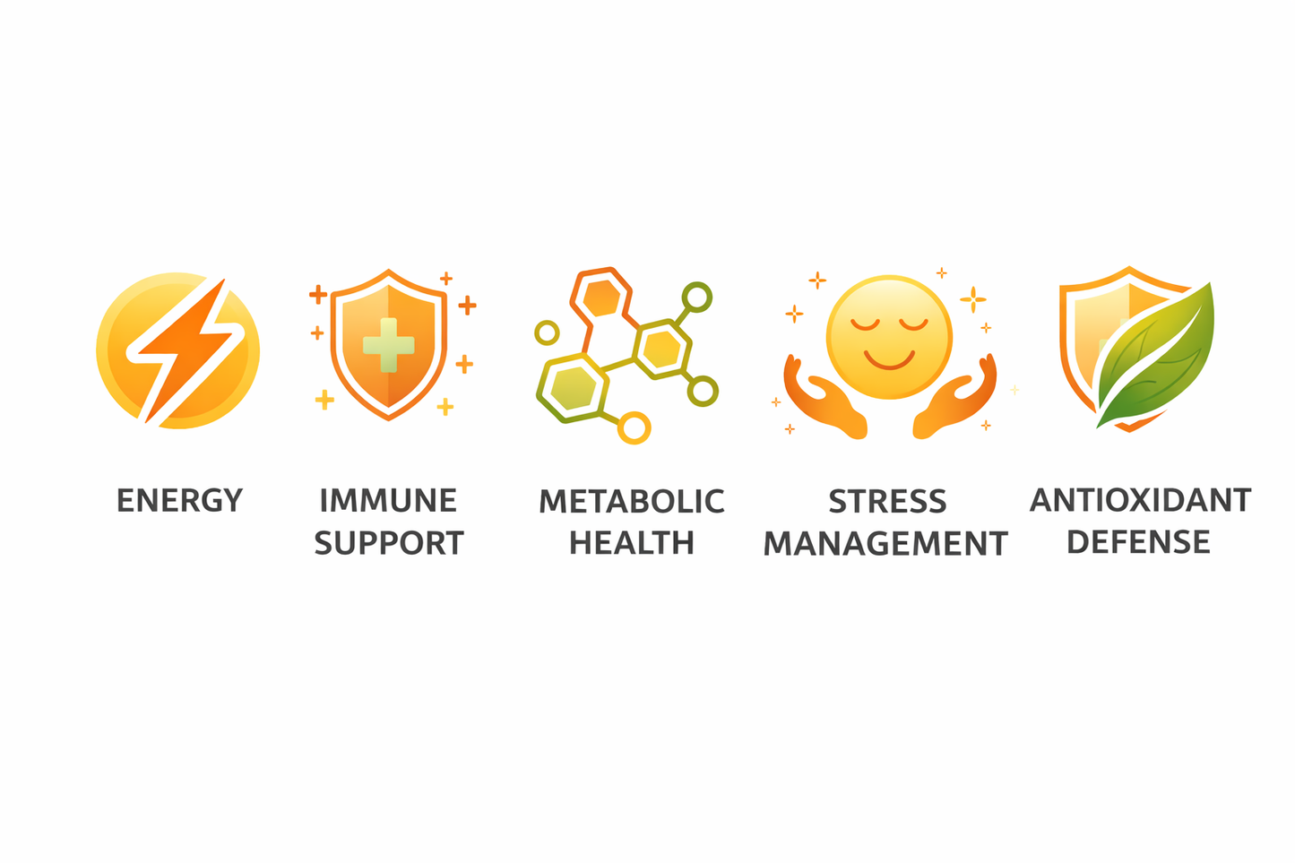 Daily Best Ultra® | Advanced Multivitamin for Energy, Immune & Metabolic Support